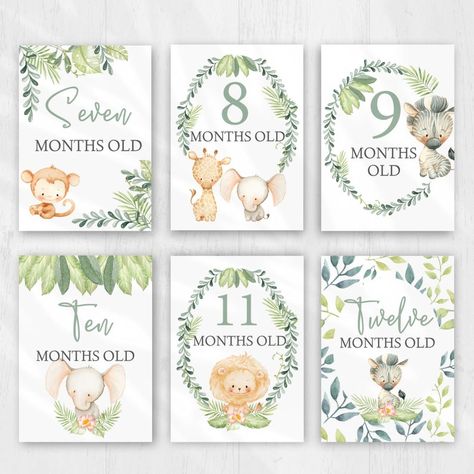 Safari Baby Animals, Milestone Stickers, Baby Poster, Baby Monthly Milestones, Month Stickers, Baby Milestone Cards, Monthly Milestone, Baby Journal, Baby Milestone