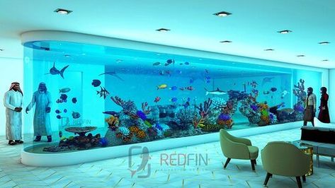 Big Aquarium Living Rooms, Fish Tank Wall, Custom Aquarium, Public Aquarium, Big Aquarium, Design Stage, Aquarium Maintenance, Cat Wall Furniture, Home Aquarium