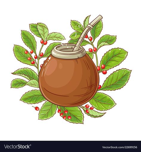 Tea Vector, Yerba Mate Tea, Mate Tea, Tea Health Benefits, Friendship Symbols, Tea Benefits, Yerba Mate, South American, White Background