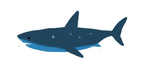 Shark Animation, Animated Shark, Shark Gif, Fish Animation, Butterfly Games, Jump Animation, Animal Movement, Shark Drawing, Pixel Art Characters