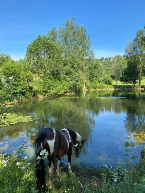 Summer Horse Aesthetic, Horse Summer Aesthetic, Summer Farm Aesthetic, Aesthetic Stables, Horse Farm Aesthetic, Stables Aesthetic, Horse Stable Aesthetic, Horse Rider Aesthetic, Horses In Water