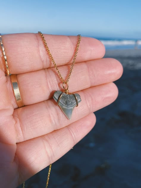 Shark tooth necklace