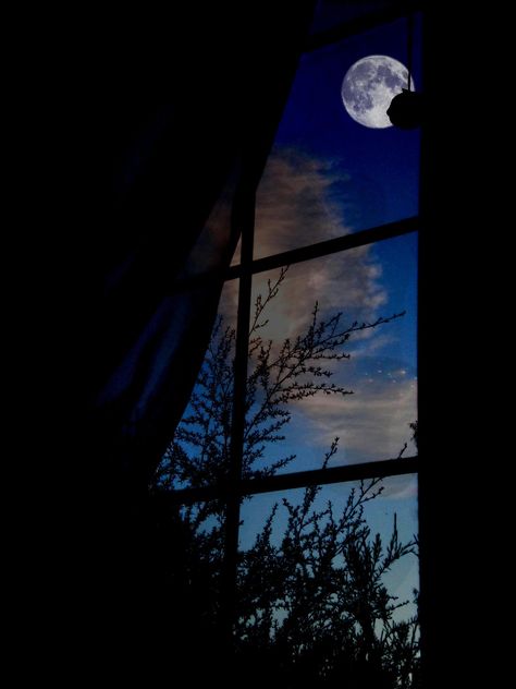 The View from dear Laura's window <3~ Moon View From Window, Night View From Window, Night Window View, Night View Painting, Window At Night, Full Moon Photography, Night Window, Moonlight Photography, Through A Window