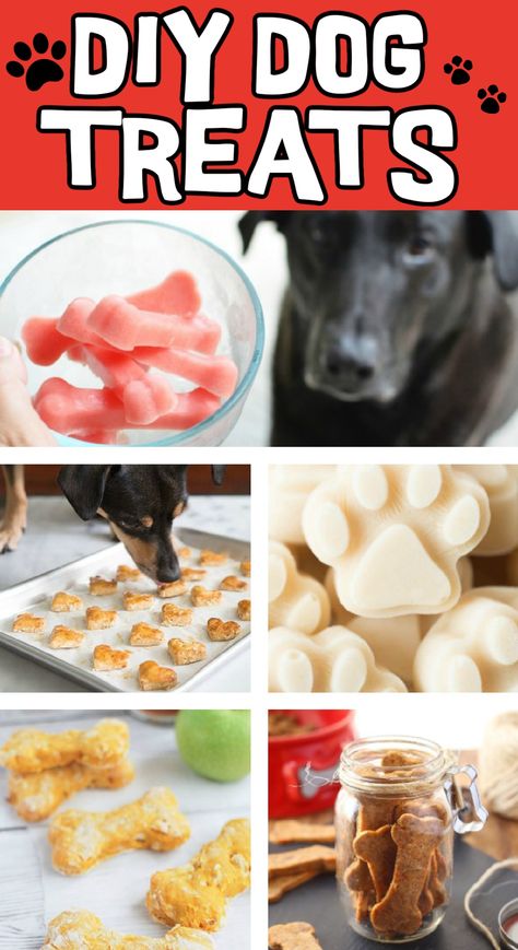 16 Homemade Dog Treat Recipes that are Easy to Make at Home | Kids Activities Blog At Home Kids Activities, Easy Homemade Dog Treats, Homemade Dog Treat Recipes, Easter Rice Krispie Treats, Animal Tips, Pet Recipes, Treat Business, Pet Treats Recipes, Dog Treats Homemade Easy