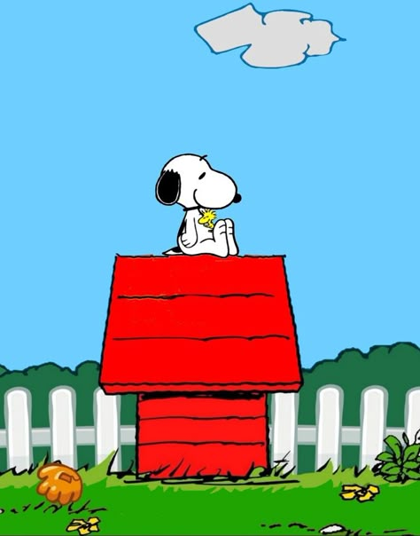 Snoopy On Doghouse, Snoopy On House, Snoopy On His Doghouse, Snoopy Aesthetic, Snoopy House, Snoopy Doghouse, Peanuts Cartoon Characters, Senior Pants, Snoopy Classroom