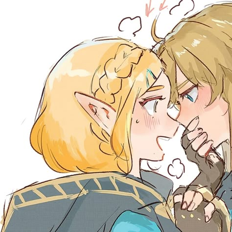 Link X Zelda Matching Pfp, Zelda Link Matching Icons, Link Pfp Aesthetic, Princess Mononoke Matching Icons, Zelink Christmas, Link And Zelda Matching Pfps, Zelink Matching Icons, Video Game Matching Pfp, Zelda And Link Matching Pfp