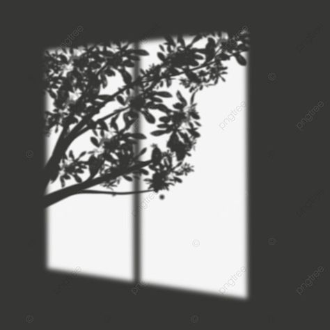 Shadow Window, Planning 2024, Plant Shadow, Shadow Png, Window Silhouette, Shadow Tree, Dark Window, Tree Shadow, Window Shadow