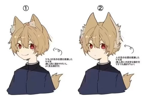 Cat Ears Character Design, Anime Pose Tutorial, Ears Drawing, 캐릭터 드로잉, Arte Inspo, Cat Ear, Anime Drawings Tutorials, Art Poses, 영감을 주는 캐릭터