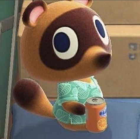 Tom Animal Crossing, Timmy And Tommy Nook, Animal Crossing Cats, Animal Crossing Tom Nook, Weird Insects, Tom Nook, I'm Sensitive, Animal Crossing Funny, Animal Crossing Fan Art