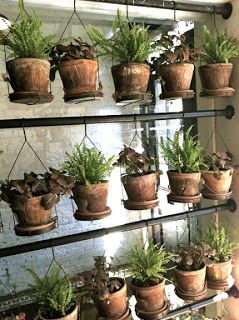 hangin out Foraged Arrangements, Restaurant Window, Ideas Terraza, Orchid House, Enclosed Porch, Window Garden, Backyard Dreams, Barbie Dreamhouse, نباتات منزلية