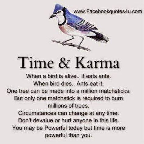 Time & Karma Apj Quotes, Inspirtional Quotes, Life Quotes Pictures, Genius Quotes, Karma Quotes, Quotes Positive, Lesson Quotes, About Time, Life Lesson Quotes