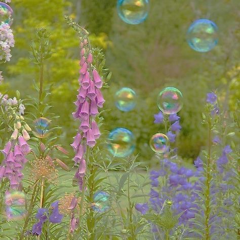 Bubbles And Flowers Aesthetic, Wonder Land Aesthetic, Txt Fairy Of Shampoo Aesthetic, Magical Garden Aesthetic, Bubblegrunge Aesthetic, Fairy Land Aesthetic, Fairy Of Shampoo Aesthetic, Fairyland Aesthetic, Fairy Magic Aesthetic