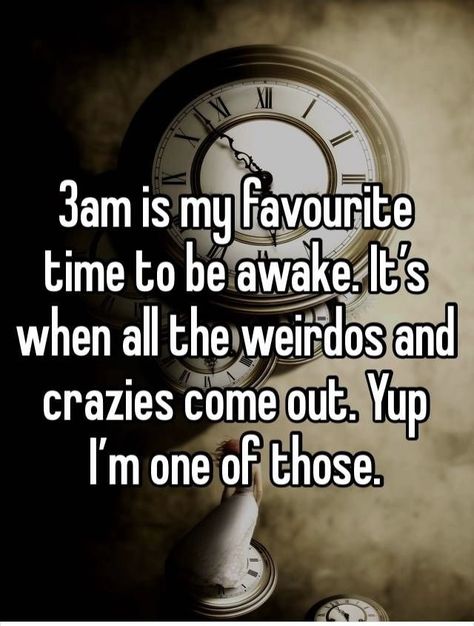 3am Funny, Awake At 3am, 3am Quotes, Awake Quote, New Quotes, Insomnia, Auckland, Coming Out, My Favourite