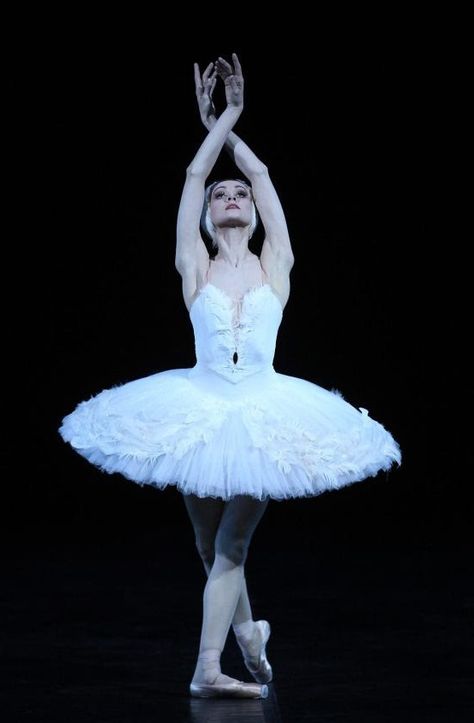 Ulyana Lopatkina, Ballet Wallpaper, Swan Ballet, Dancers Body, Ballet Images, Charity Gala, Ballet Pictures, Tutu Ballet, Dancing Drawings