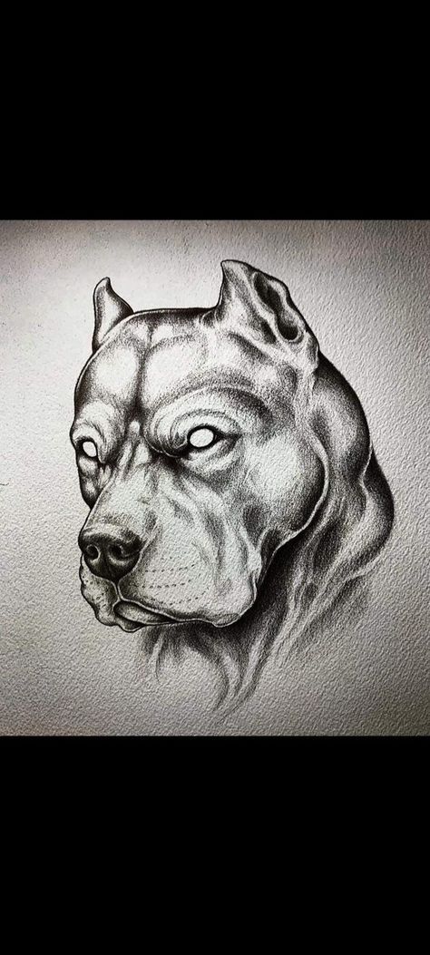 Bully Dog Tattoo, Realism Tattoo Sketch, Pitbull Tattoo For Men, Angry Dog Tattoo, Dog Tattoo Pitbull, American Bully Tattoo, Pit Bull Tattoo Ideas, Pitbull Tattoo Design, Pitbulls Tattoo