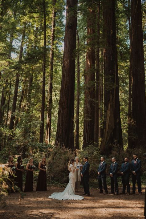 Red Wood Wedding, Henry Cowell Redwoods State Park, Redwood Wedding California, Redwood Elopement, Santa Cruz Redwoods, Redwood Forest Wedding, Redwoods Wedding, Santa Cruz Wedding, San Francisco Wedding Photography