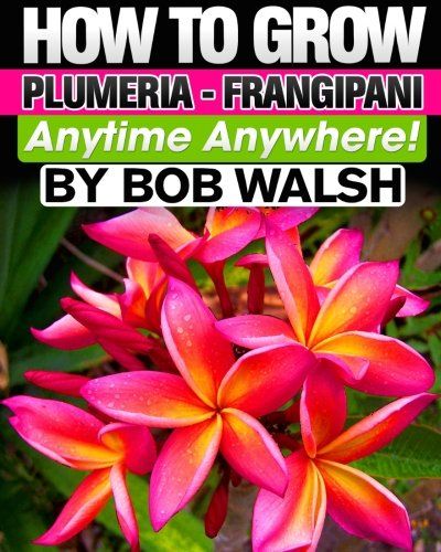 Indoor Plumeria, Fiori Frangipani, Plumeria Care, Growing Vegetables At Home, Growing Hibiscus, Plumeria Tree, Growing Vegetables Indoors, Flower Pot Design, Plumeria Flowers