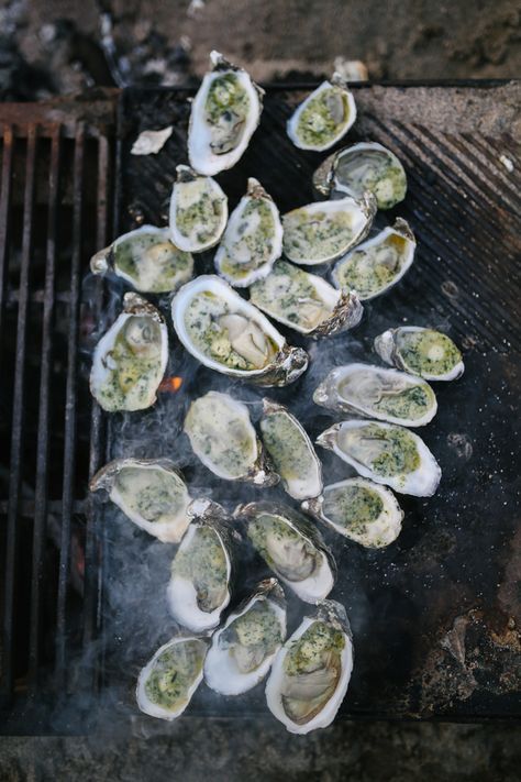 Roasted Oysters, Beach Cooking, Oyster Roast, Grilled Oysters, Fireside Chairs, Stinging Nettle, Fire Food, Oyster Bay, Fire Cooking