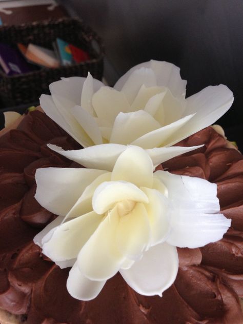 Chocolate Flower Petals, Tempered Chocolate Decorations, Tempered Chocolate, How To Temper Chocolate, Chocolate Work, Chocolate Garnishes, Chocolate Roses, Chocolate Cake Decoration, Dessert Chocolate