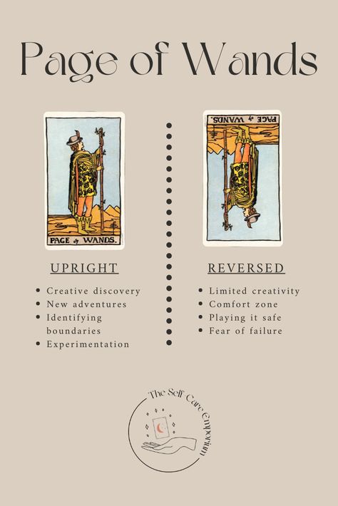 Page of Wands Tarot Meaning & Guidance — | The Self-Care Emporium Page Of Wands Tarot Meaning, Page Of Wands Tarot, Page Of Wands, Wands Tarot, Learning Tarot Cards, Tarot Guide, Tarot Book, Tarot Meanings, Tarot Card Reading