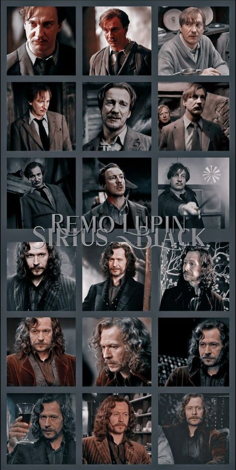 Sirius And Harry Wallpaper, Sirius Black X Severus Snape X Remus Lupin, Sirius Black X Y/n, Remus Lupin X Y/n, Sirius Black Aesthetic Wallpaper, Harry Potter Lupin, Sirius Black Wallpaper, Remo Lupin, Remus Lupin Harry Potter