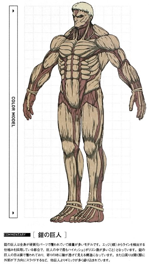 Armored Titan Art, Armored Titan Manga, Attack On Titan Armored Titan, Titan Transformation, Aot Titan Shifter Oc, Armor Titan, Armoured Titan, Titan Armor, Aot Titans