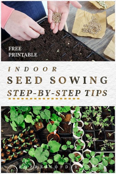 Zone 9 Gardening, When To Plant Seeds, Propagation Tips, Grow Seeds, Seed Growing, Beginner Gardening, Starting Seeds, Sowing Seeds, Planting Calendar