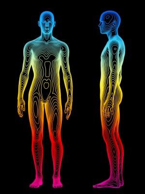 What is Specific Absorption Rate (SAR)? Body Scan, Body Map, Human Body Systems, Health Screening, Body Scanning, Thermal Imaging, Body Systems, The Human Body, Stock Photography Free