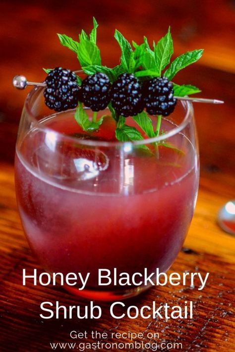 This Honey Blackberry Shrub Cocktail is refreshing and tasty from the Gastronom. Its a great combination of bourbon, blackberries, honey and the bite of apple cider vinegar. This Bourbon Shrub Cocktail is topped with club soda it is great for a crowd! #gastronomblog #bourbon #blackberries #applecidervinegar #clubsoda Blackberry Shrub, Irish Whiskey Cocktails, Alcohol Punch, Scotch Cocktails, Shrub Drink, Blackberry Bourbon, Blackberry Cocktail, Shrub Recipe, Rum Swizzle