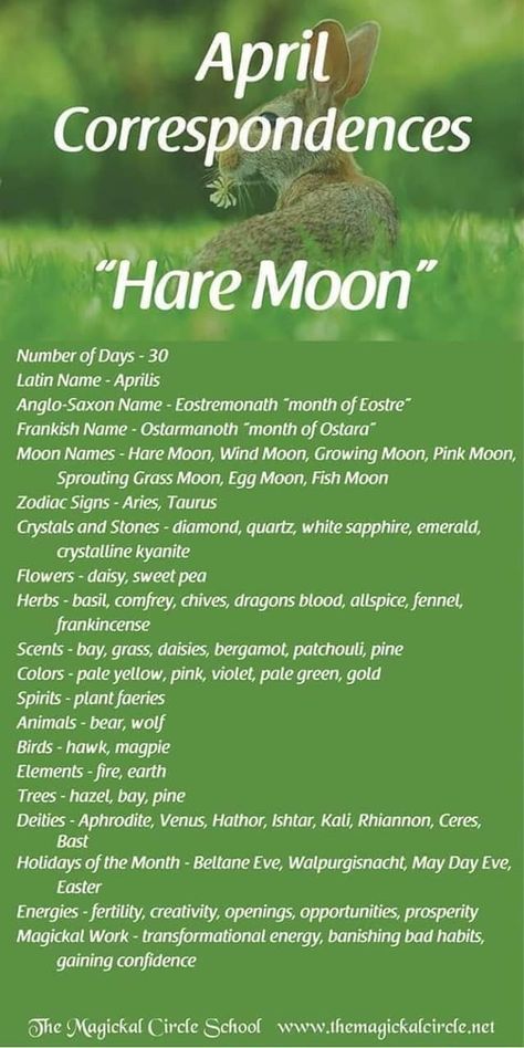 Moon Correspondences, Full Moon Names, Moon Zodiac, Moon Meaning, Moon Names, Lunar Magic, Moon Circle, Wiccan Crafts, Lunar Moon