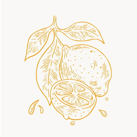 Lime Illustration Drawings, Lemon Lino Print, Wood Cut Tattoo Style, Lemon Line Art, Lemon Illustration Design, Lemon Art Illustration, Lemon Line Drawing, Line Art Fruit, Lemons Illustration