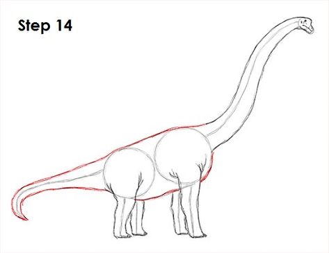 Brachiosaurus Dinosaur 14 Brontosaurus Drawing, Brachiosaurus Drawing, Dinosaur Reference, Dino Drawing, Long Neck Dinosaur, Animal Tutorial, Neck Drawing, Dinosaur Sketch, Drawing Instructions