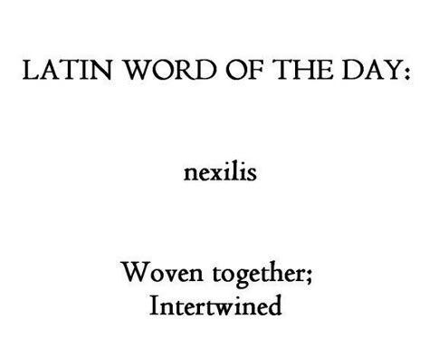 Latin Quotes, Unique Words Definitions, Latin Phrases, Latin Word, Uncommon Words, Unusual Words, History Education, Rare Words, Word Definitions