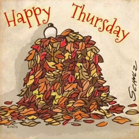 Happy Thursday! Make sure you get enough sleep! 🌞 Happy Thankgiving, Snoopy And Friends, Good Morning Snoopy, Happy Thursday Quotes, Get Enough Sleep, Morning Cat, Thursday Quotes, Peanuts Characters, Good Morning Image Quotes