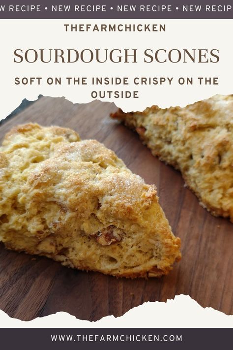 Sourdough Discard Scones: A Recipe from the Farm - TheFarmChicken Scones Sourdough, Discard Scones, Sourdough Discard Scones, Sourdough Scones, Orange Cardamom, Scones Recipe, Sourdough Discard, Strawberry Rhubarb, Tea Or Coffee