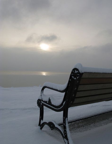 Bench Aesthetic Park, Bench Aesthetic, Snowy Bench, Perfectly Wrong, Mommy Kissing Santa Claus, Aesthetic Park, Christmas Core, Park Benches, Miracle On 34th Street