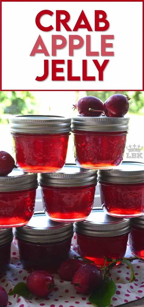 Crabapple Jelly Recipe, Crabapple Jelly, Crab Apple Recipes, Crab Apple Jelly, Crab Apples, Apple Jelly, Jam Recipes Homemade, Apple Jam, Amazing Crafts