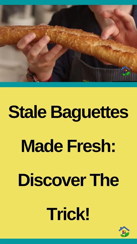 Rediscover the Pleasure of Fresh Baguettes by Reviving Stale Loaves with This Incredible Trick! That stale bread is not to be thrown away! Breathe new life into your bread. Say goodbye to dry and lifeless loaves as you transform them into crusty, warm, and oh-so-delicious treats. It is about time you turned the ordinary into […] Stale Bread, Delicious Treats, About Time, Yummy Treats, New Life, The Ordinary, Bread, Baguette