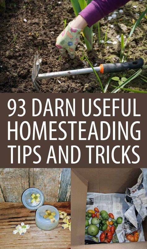 Homesteading Uk, Farm Tips And Tricks, Homestead Tips, Homestead Projects, Homesteading Diy Projects, Homesteading Tips, Bushcraft Shelter, Make Your Own Makeup, Homestead Life