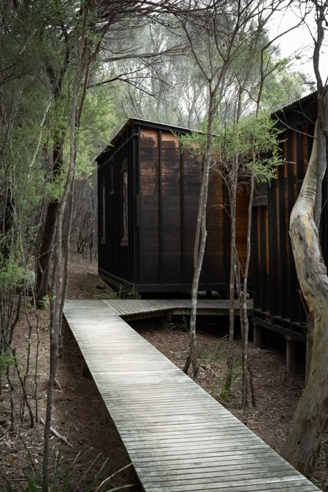 The Invisible Lodge in Tasmania by Latona Masterman & Associates - The Local Project Garden Walkway, Casa Container, Have Inspiration, Cabin In The Woods, Stilts, Forest House, The Invisible, Local Design, Cabins In The Woods