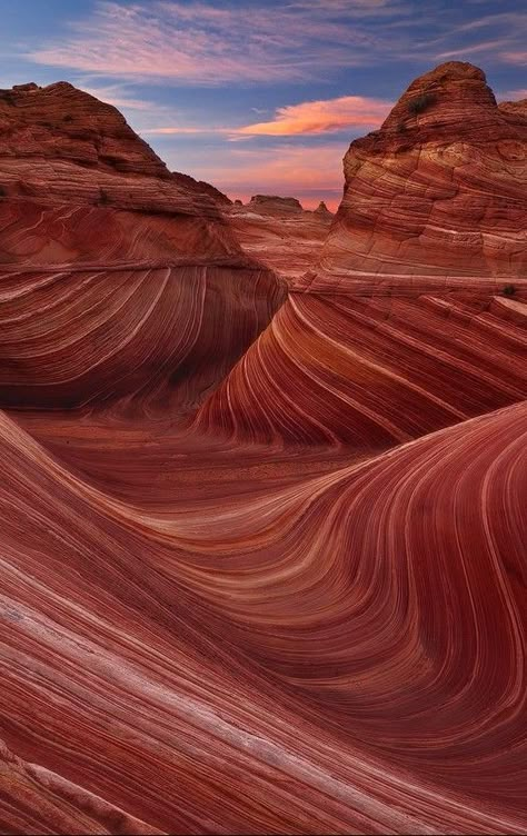 The Wave. Coyote Buttes, Arizona The Wave Arizona, Colorado Plateau, Earth Photos, Paint Pouring, Alam Yang Indah, Wedding Aesthetic, Rock Formations, Red Rock, In The Desert