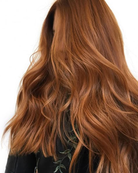 coloredbykp Ginger spice and everything nice 👌🏻It's always a great day when I get my hands on this beautiful hair ✨ Using @paulmitchellus 7rb 7n w/ 20vol I refreshed the base color and glossed with @redken shades eq 8c 9rb 💥 Dye For Brown Hair, Hair Dye For Brown Hair, Ginger Hair Dye, Shades Of Red Hair, Ginger Hair Color, Red Brown Hair, Ginger Spice, Copper Hair Color, Hair Color Auburn