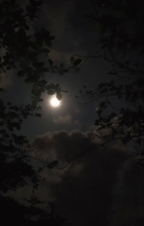 Moonlit Night Aesthetic, Song Of Silver Flame Like Night Aesthetic, Moonlight Forest Aesthetic, Ethereal Night Aesthetic, Dark Forest Aesthetic Night Moon, Book Of Night Aesthetic, Nature At Night Aesthetic, Woods Night Aesthetic, Moonlit Forest Aesthetic