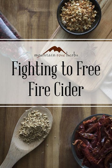 Fire Cider Goes to Court: Fighting for Folk Herbalism Folk Herbalism, Mountain Rose Herbs Recipes, Four Thieves Vinegar, Fire Cider Recipe, Rosemary Gladstar, Tinctures Recipes, Fire Cider, Mountain Rose Herbs, Mountain Rose