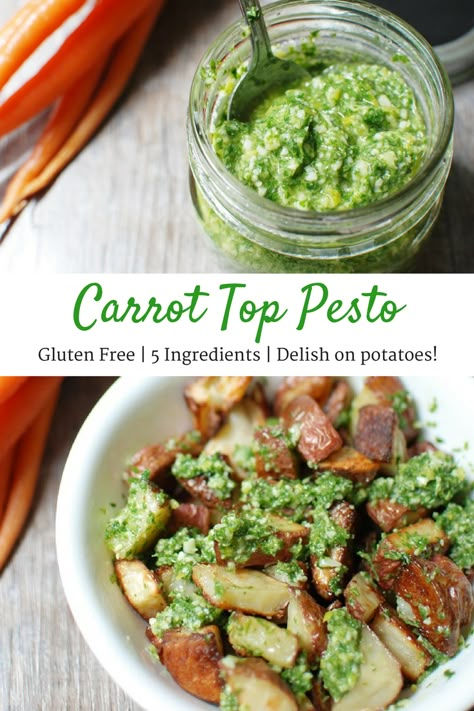 Carrot top pesto is an easy recipe that tastes delicious. Use it on grilled chicken, roasted potatoes, drizzled over avocado toast, or any way you see fit! What To Do With Carrot Tops, Carrot Tops Recipes, Carrot Greens What To Do With, Carrot Top Recipes, Carrot Recipes Healthy, Ways To Use Pesto, Carrots Recipe Healthy, Carrot Top Pesto, Carrot Tops