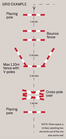 Horse Pole Exercises, Jump Courses For Horses, Grid Work For Horses, Pole Exercises For Horses, Horse Riding Exercises, Gridwork For Horses, Horse Grid Exercises, Pole Work For Horses, Equestrian Jumping Exercises