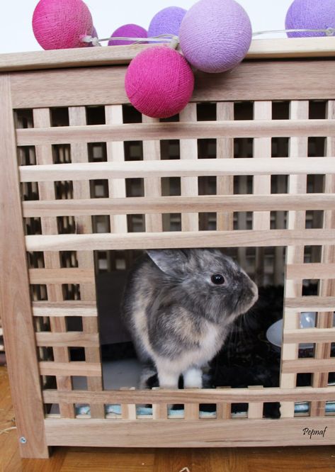 Comment détourner un meuble Ikea en maison pour lapin ? - Pepnaf Ikea Hol Rabbit, Bunny House Diy, Diy Pour Lapin, Ikea Hol, Bunny Enclosure, Boo Boo Bunny, Indoor Rabbit Cage, Kallax Hack, Diy Animals