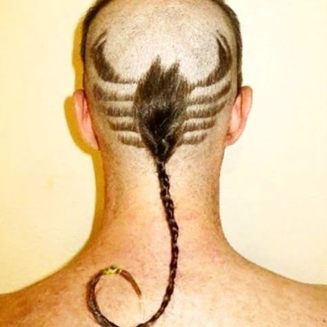 Funny Hair Styles, Funny Haircuts, Haircut For Man, Funny Hairstyles, Weird Funny Pictures, Haircut Fails, Attack On Titan Mike, Hairstyle For School, Crazy Nail Designs