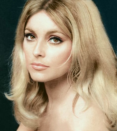 https://flic.kr/p/2hqeAJA | Sharon Tate by Shahrokh Hatami, 1966 Klasik Hollywood, Terrence Loves You, 60s Aesthetic, 60s Makeup, 70s Makeup, Jean Shrimpton, 60s Women, Jill Scott, Sharon Tate