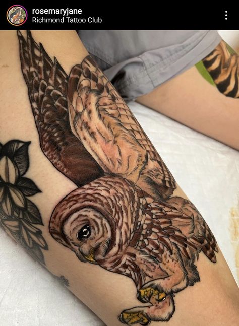 Barred Owl Tattoo, Barred Owl, Piercing Ideas, Owl Tattoo, Tattoos And Piercings, Rosemary, Owls, Piercings, Tattoos